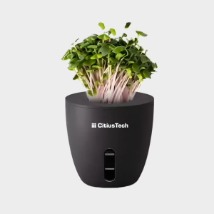 Terra – Self Water Plant